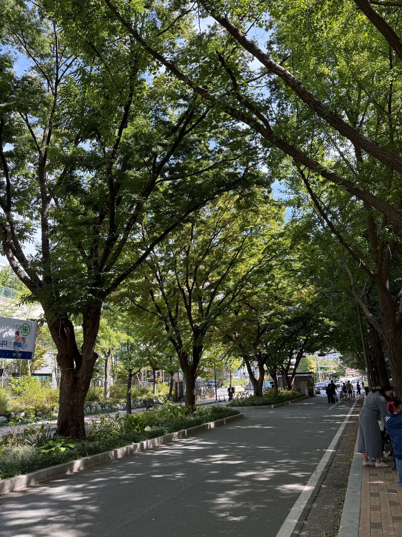 사람들이 산책하는 보라매공원