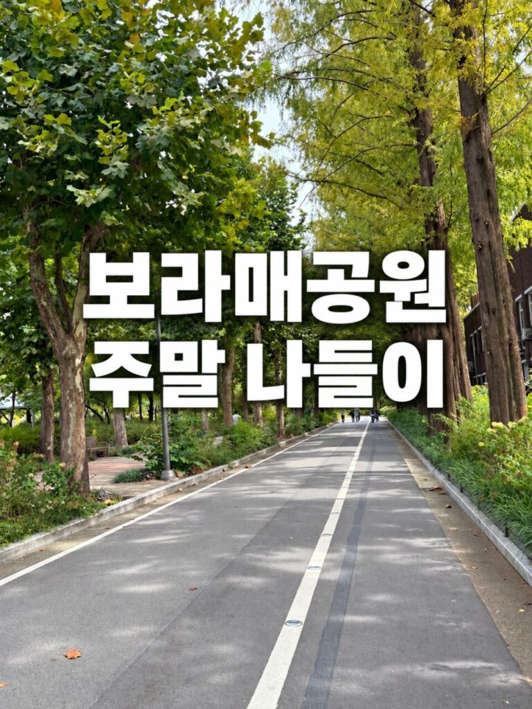 보라매공원 주말 나들이 — 나무가 늘어선 산책길